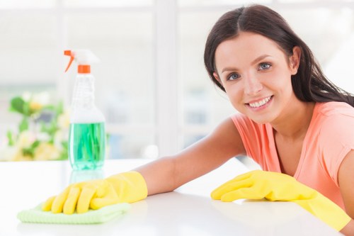 Cleaner preparing a service booking and appointment details