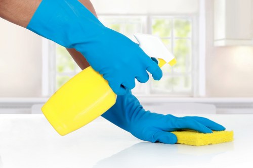 Professional steam carpet cleaning for a Shoreditch home carpet