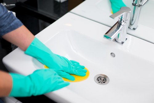 Professional pet stain cleaning in a Shoreditch apartment