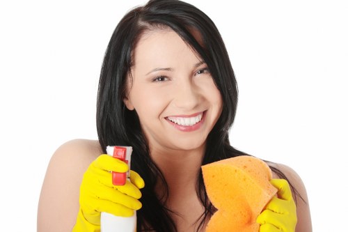 Deep mattress cleaning process for local rental and residential properties