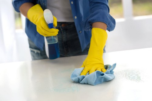 Cleaner maintaining a Shoreditch kitchen during a routine visit
